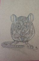 Muffin Mouse